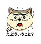 にゃんこ大暴走！（個別スタンプ：25）