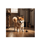柴犬の日常14（個別スタンプ：4）