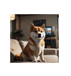 柴犬の日常14（個別スタンプ：9）
