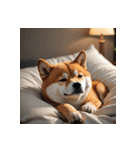 柴犬の日常14（個別スタンプ：24）