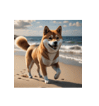 柴犬の日常14（個別スタンプ：31）