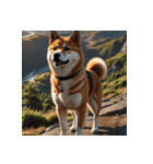 柴犬の日常14（個別スタンプ：35）
