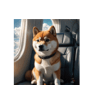 柴犬の日常14（個別スタンプ：40）