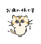 ねこのエリィ〜敬語だにゃん〜（個別スタンプ：1）