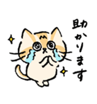 ねこのエリィ〜敬語だにゃん〜（個別スタンプ：9）