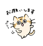 ねこのエリィ〜敬語だにゃん〜（個別スタンプ：11）