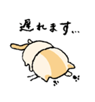 ねこのエリィ〜敬語だにゃん〜（個別スタンプ：23）