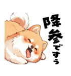 ペロっとポメラニアン（個別スタンプ：3）
