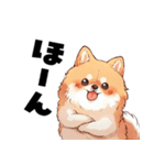 ペロっとポメラニアン（個別スタンプ：15）