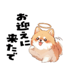 ペロっとポメラニアン（個別スタンプ：19）