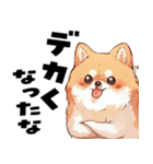ペロっとポメラニアン（個別スタンプ：20）