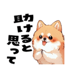 ペロっとポメラニアン（個別スタンプ：21）
