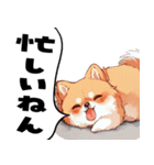 ペロっとポメラニアン（個別スタンプ：23）