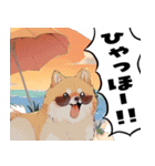ペロっとポメラニアン（個別スタンプ：27）
