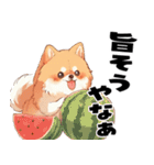 ペロっとポメラニアン（個別スタンプ：29）