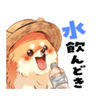 ペロっとポメラニアン（個別スタンプ：31）