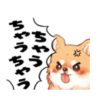 ペロっとポメラニアン（個別スタンプ：34）