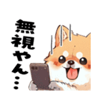 ペロっとポメラニアン（個別スタンプ：36）