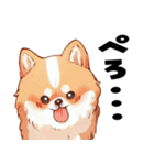 ペロっとポメラニアン（個別スタンプ：38）