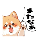 ペロっとポメラニアン（個別スタンプ：40）