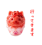 かき氷の猫、シャリシャリ一言（個別スタンプ：3）