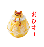 かき氷の猫、シャリシャリ一言（個別スタンプ：21）
