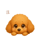ワンだふる｜トイプードル【台湾語】（個別スタンプ：7）