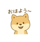 かわいい犬のスタンプ！7個+1個おまけ（個別スタンプ：1）