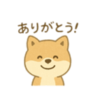 かわいい犬のスタンプ！7個+1個おまけ（個別スタンプ：3）