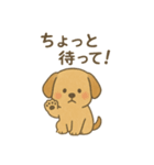かわいい犬のスタンプ！7個+1個おまけ（個別スタンプ：5）