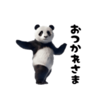 踊る！実写パンダ（個別スタンプ：4）