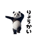 踊る！実写パンダ（個別スタンプ：5）