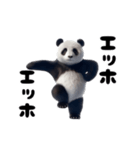 踊る！実写パンダ（個別スタンプ：12）