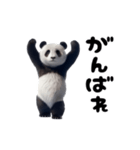踊る！実写パンダ（個別スタンプ：17）