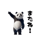 踊る！実写パンダ（個別スタンプ：24）