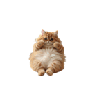ねこ ねこ ねこたち（個別スタンプ：11）