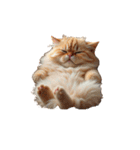 ねこ ねこ ねこたち（個別スタンプ：14）