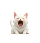 ねこ ねこ ねこたち（個別スタンプ：15）