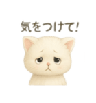 白い猫シリーズ日本語（個別スタンプ：5）