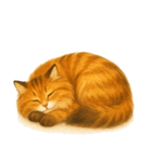 メインクーンかソマリさん(文字なし)1（個別スタンプ：7）