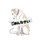 可愛いボルゾイのひとことスタンプ（個別スタンプ：6）