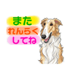 可愛いボルゾイのひとことスタンプ（個別スタンプ：21）