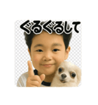 チワワのぱるとぼく、ぐるぐるして。（個別スタンプ：8）