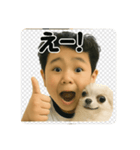 チワワのぱるとぼく、ぐるぐるして。（個別スタンプ：9）