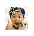 チワワのぱるとぼく、ぐるぐるして。（個別スタンプ：11）