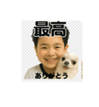 チワワのぱるとぼく、ぐるぐるして。（個別スタンプ：12）
