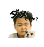 チワワのぱるとぼく、ぐるぐるして。（個別スタンプ：13）