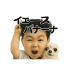 チワワのぱるとぼく、ぐるぐるして。（個別スタンプ：16）