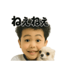 チワワのぱるとぼく、ぐるぐるして。（個別スタンプ：17）