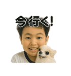 チワワのぱるとぼく、ぐるぐるして。（個別スタンプ：19）